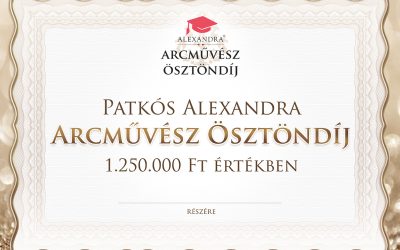 Nem várt népszerűségnek örvend az Arcművész Ösztöndíj