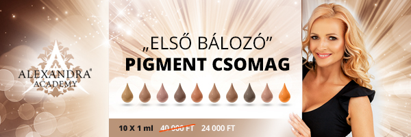 Welcome600x200Pigment